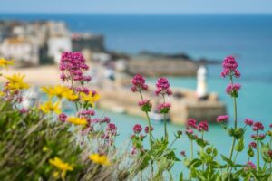 Comment découvrir Marseillan pendant vos vacances dans l’Hérault ?